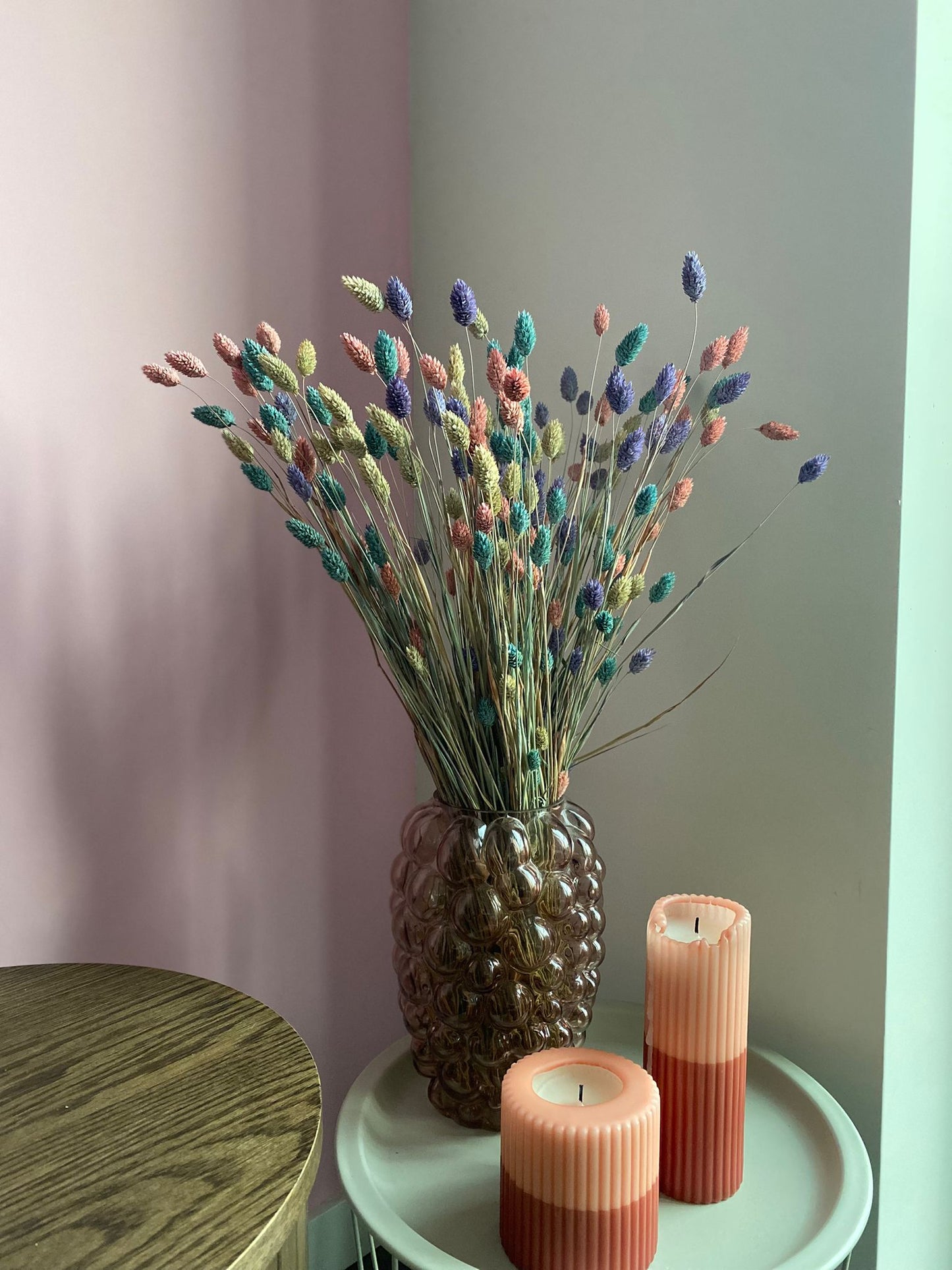 Phalaris Mixed Purple