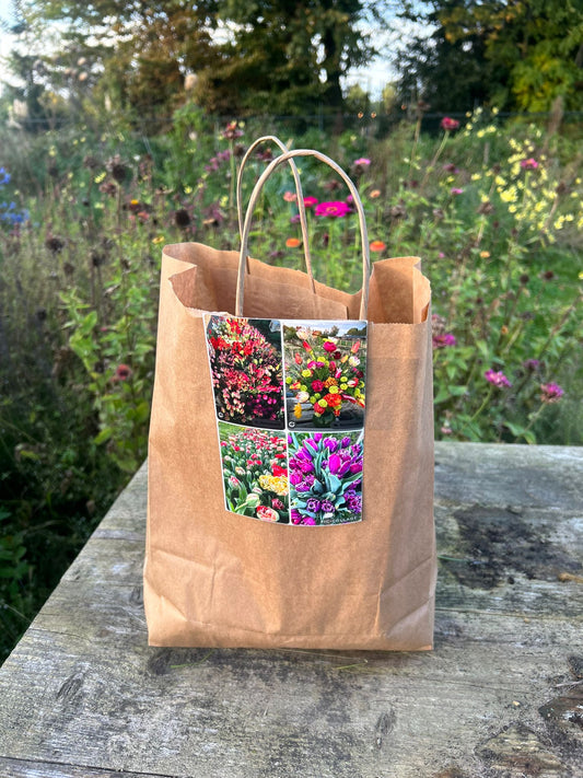 Tulpen Bollen Mix – Bijzondere Collectie (Franse, Lelie-achtige, Parrot, Dubbel & Franje Tulpen)