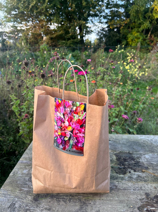 Tulpen Bollen Mix – Texelse Collectie (Enkel & Dubbelbloemig)