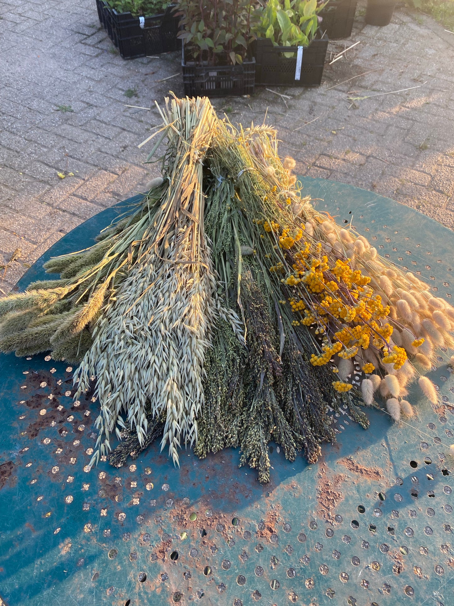 Mixpakket droogbloemen