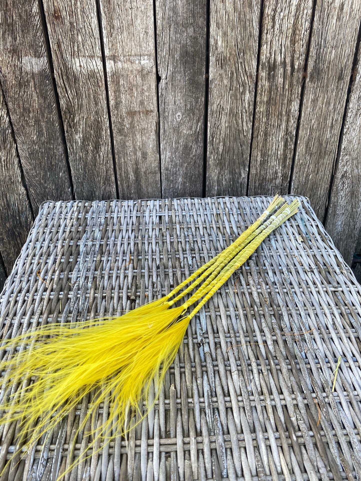 Stipa yellow