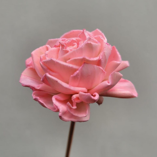 Handemaakte Bloem - Sola Rose