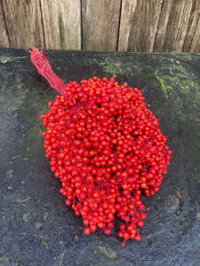 Pepperberries Rood