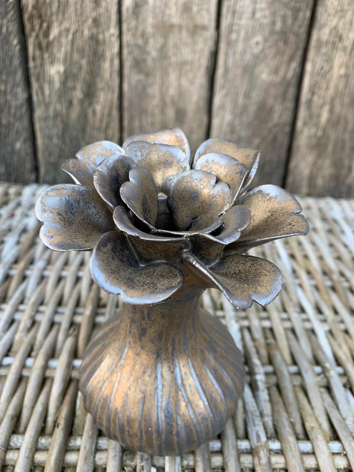 Cipolla Bronze