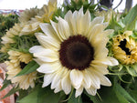 Afbeelding in Gallery-weergave laden, Zonnenbloemen collectie
