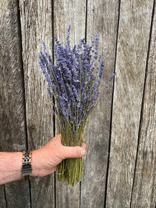 Lavendel nieuwe oogst